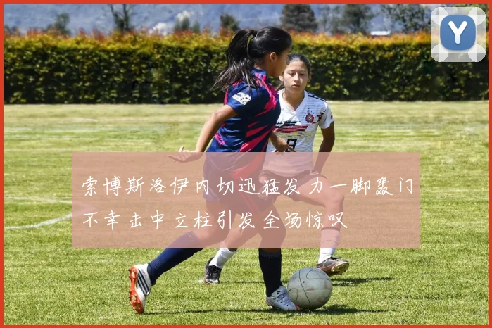索博斯洛伊内切迅猛发力一脚轰门不幸击中立柱引发全场惊叹